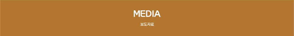 MEDIA 보도자료